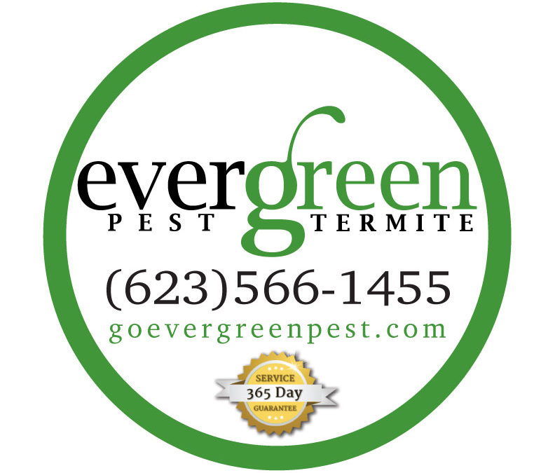 Evergreen Pest & Termite