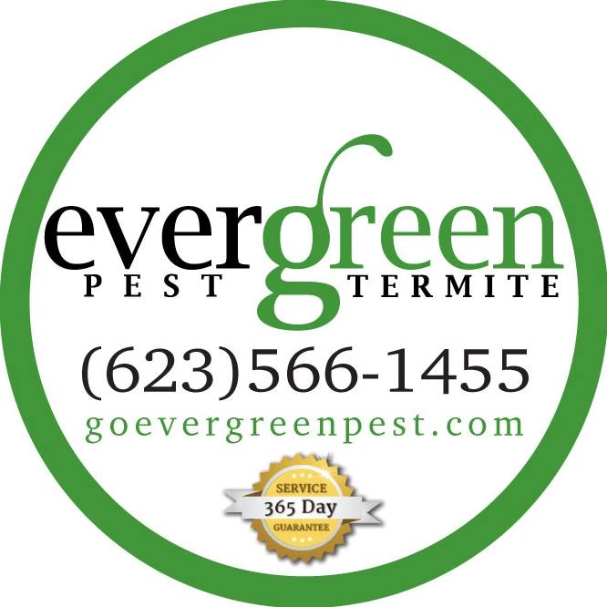 Evergreen Pest and Termite